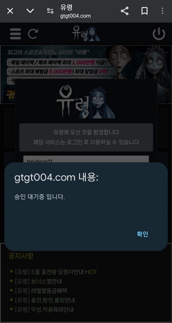 유령 먹튀.jpg